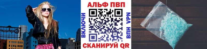 дарнет шоп  Камызяк  A PVP СК 
