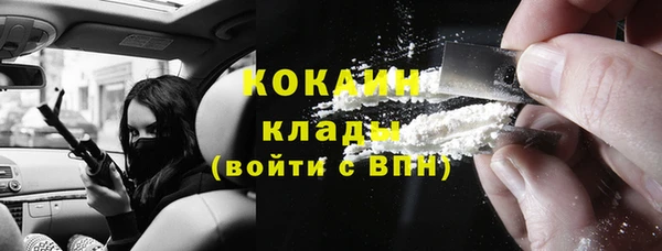 соль ск Волосово