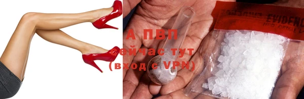 соль ск Волосово