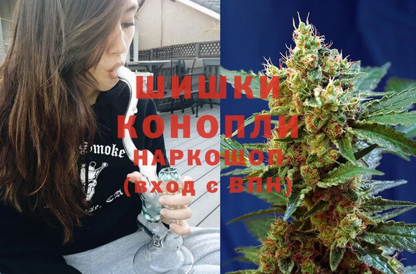 соль ск Волосово