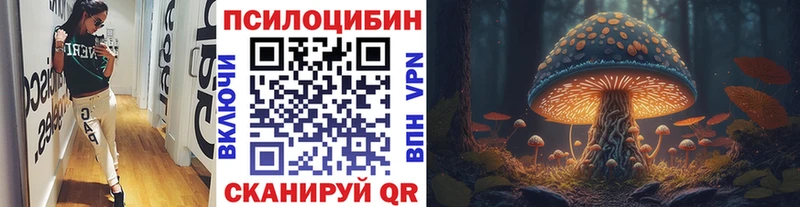 MEGA ССЫЛКА Камызяк Псилоцибиновые грибы прущие грибы